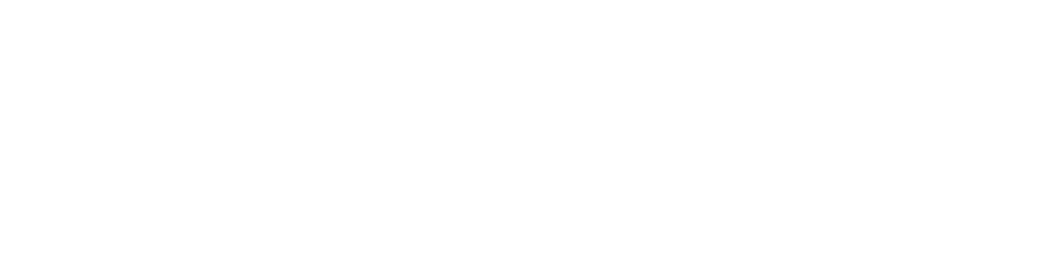 Hitee Logo